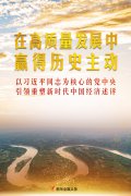 在高质量发展中赢得历史主动
